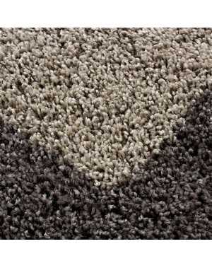 Tapis Shaggy pile longue designe bordure couleurs et tailles au choix