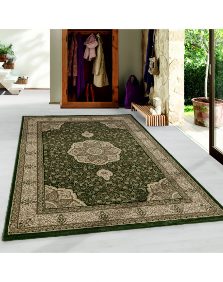 Tapis de salon oriental à poil ras Motif de bordure ornement Vert