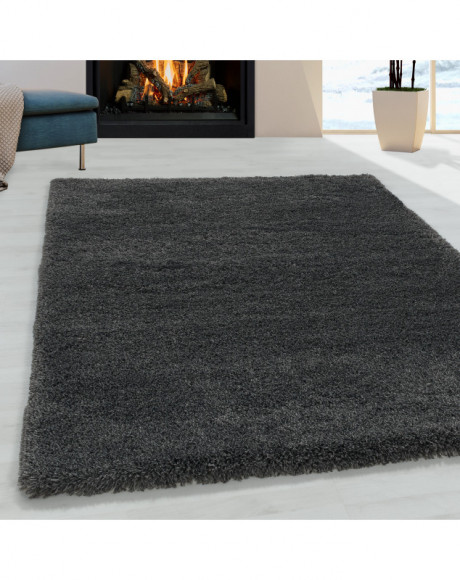 Tapis de salon Shaggy Agréable doux Tapis de chambre Gris