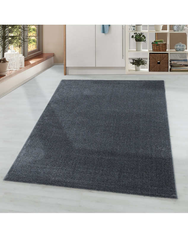 Tapis de salon à poil ras monochrome Poil souple Couleur Gris