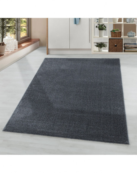 Tapis de salon à poil ras monochrome Poil souple Couleur Gris