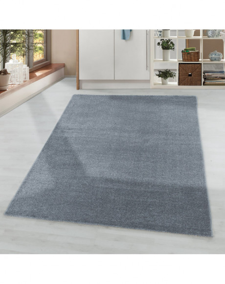 Tapis de salon à poil ras monochrome Poil souple Couleur Argenté