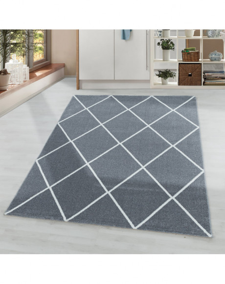 Tapis de salon Tapis à poil ras Motif de diamant lignes Couleur Argent