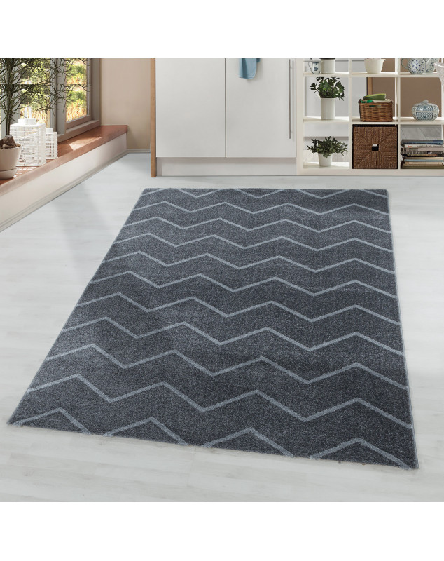 Tapis de salon Tapis à poil ras Motif de vagues lignes Couleur Gris