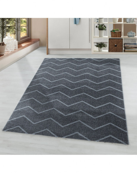 Tapis de salon Tapis à poil ras Motif de vagues lignes Couleur Gris
