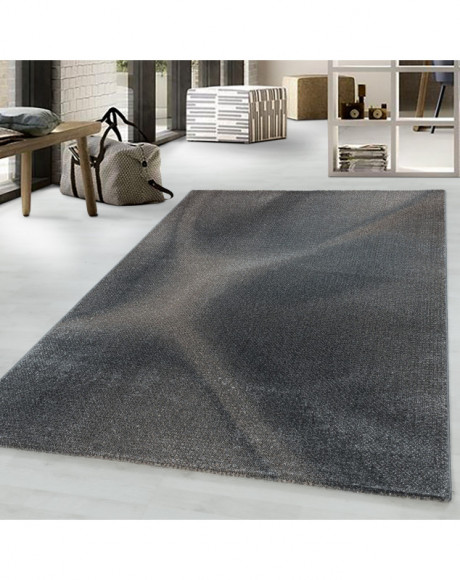 Tapis de salon Tapis à poil ras modèle d'ombre en plastique Poil souple brun