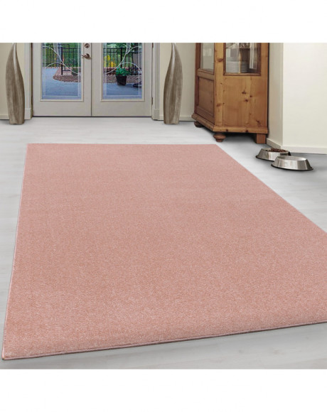 Tapis pour salon à courts poils optique Gabbeh uni Rose
