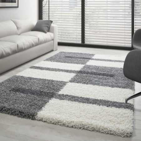 Tapis Gala Shaggy designe pile longue Gris-Blanc-Gris claire