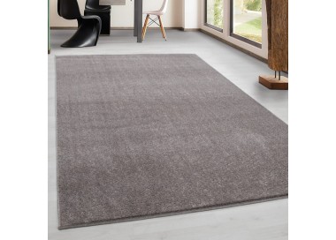 Binnenkleed, beige van kleur, voor de woonkamer, duurzaam en slijtvast, platgeweven, modern design