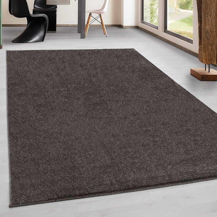 Tapis d’intérieur, pour salon, texture douce, design moderne, look naturel, style scandinave