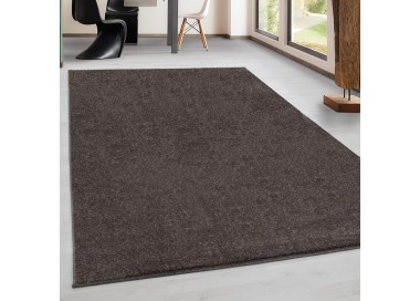 Binnenkleed voor de woonkamer, zachte textuur, modern design, natuurlijke uitstraling, Scandinavische stijl