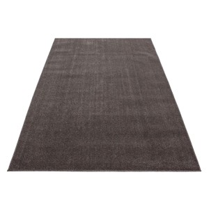 Tapis d’intérieur, pour salon, texture douce, design moderne, look naturel, style scandinave