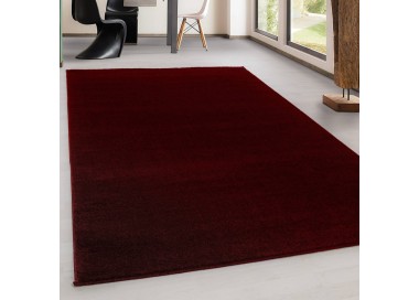 Binnenkleed voor de woonkamer, Scandinavische stijl, platgeweven, antislip, natuurlijke uitstraling, wasbaar.