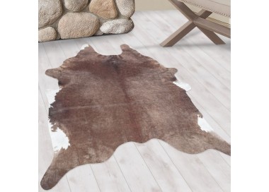 Binnenkleed, bruin van kleur, voor de woonkamer, bohemian stijl, antislip, slijtvast en duurzaam.