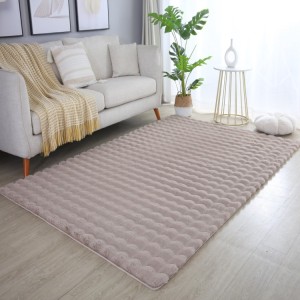 Tapis d’intérieur, couleur beige, matière coton, pour salon, design moderne, résistant et durable