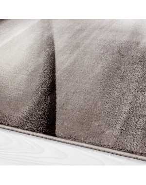 Modern design tapijt Miami 6560 BRUIN