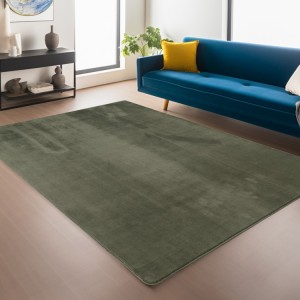 Groen vloerkleed voor binnen, geschikt voor woonkamer en slaapkamer, comfortabel, antislip, voor dagelijks gebruik.