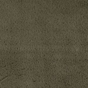 Groen vloerkleed voor binnen, geschikt voor woonkamer en slaapkamer, comfortabel, antislip, voor dagelijks gebruik.