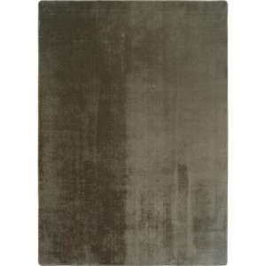 Groen vloerkleed voor binnen, geschikt voor woonkamer en slaapkamer, comfortabel, antislip, voor dagelijks gebruik.