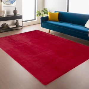 Tapis d’intérieur, pour salon, chambre, résistant et durable, antidérapant, usage quotidien