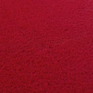 Tapis d’intérieur, pour salon, chambre, résistant et durable, antidérapant, usage quotidien