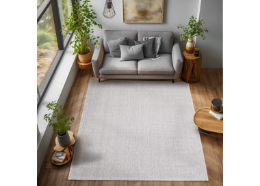 Tapis d’intérieur, couleur argent, pour salon, chambre, résistant et durable, style bohème