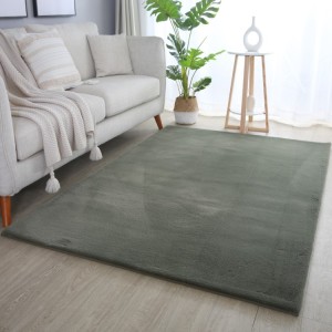 Tapis d’intérieur, couleur vert, matière coton, pour salon, design moderne, résistant et durable