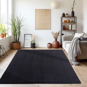 Tapis d’intérieur, couleur noir, pour salon, résistant et durable, tissage plat, look naturel