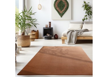 Tapis d’intérieur, couleur marron, pour salon, confortable, look naturel, usage quotidien, lavable