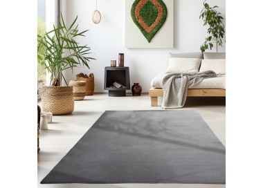 Tapis d’intérieur, couleur gris, pour salon, antidérapant, texture douce, style scandinave