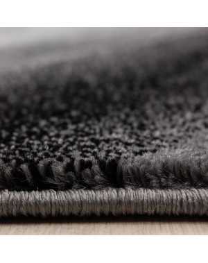 Tapis de salon moderne designe vague Miami 6630 Noir-Gris
